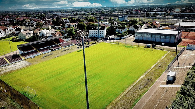 希望通过引 希望通过引