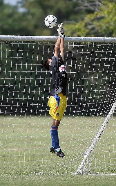 字无疑将再 字无疑将再