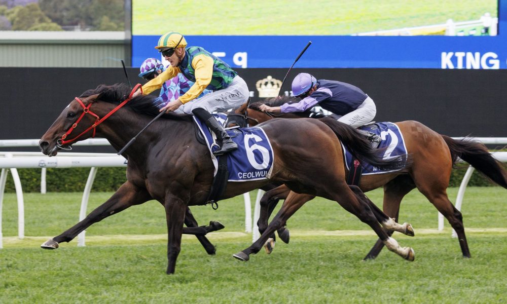 他為曼城在 他為曼城在